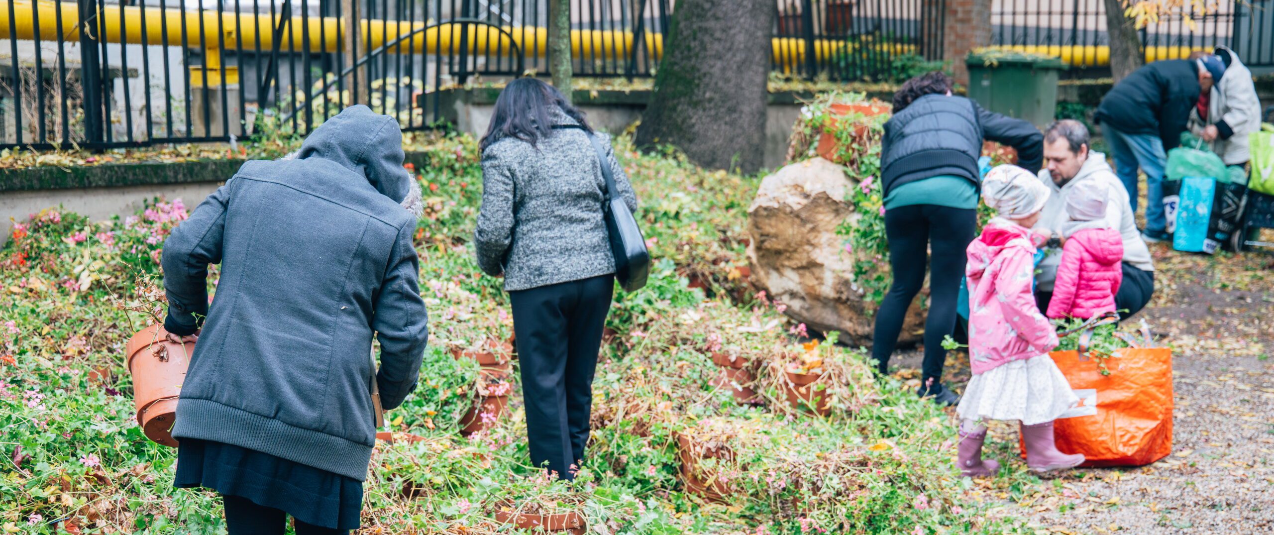 Kerületi lakosok viszik haza a köztéri virágokat, hogy azok a telet fagymentes helyen tölthessék.